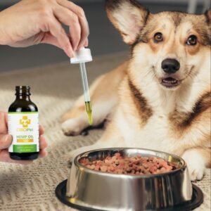 cbd oil for dogs